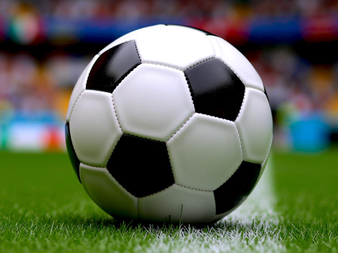 开云体育在线-中国男篮积极备战亚洲锦标赛，中国男篮亚锦赛预选赛  第3张